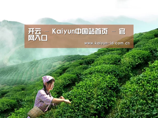 开云 - Kaiyun中国站首页 - 官网入口