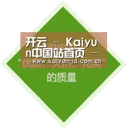 开云 - Kaiyun中国站首页 - 官网入口