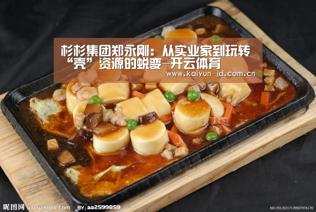 杉杉集团郑永刚:从实业家到玩转“壳”资源的蜕变-开云体育(图3) 开云官网